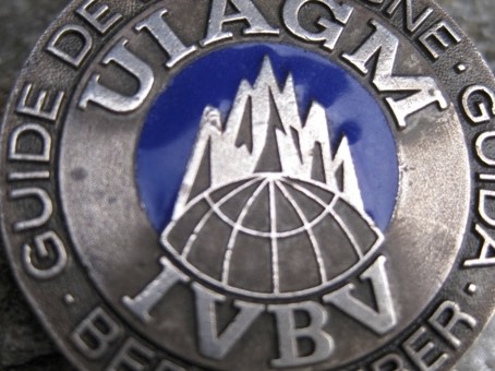 UIAGM Brosche